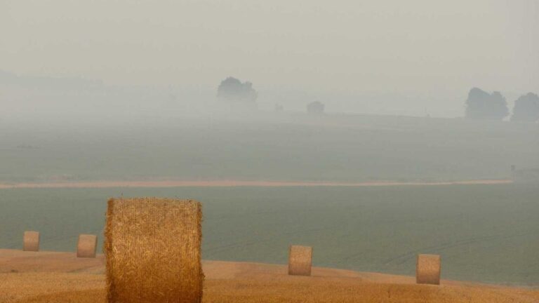 What Is The Purpose Of The 99Exch.In Domain?